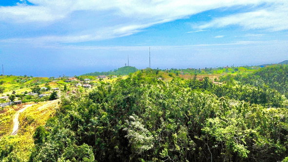 Fourth image of 170 b Lillyfield And Elgin Hall in Bamboo, St. Ann, Jamaica - property is For Sale