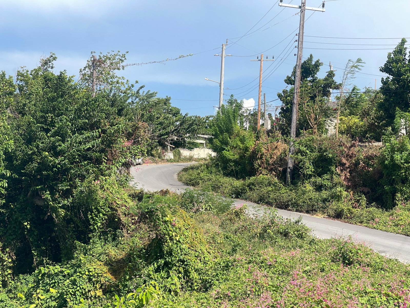 Second image of Lot 8 Moss Close, Montego Hills in Montego Hills, St. James, Jamaica - property is For Sale
