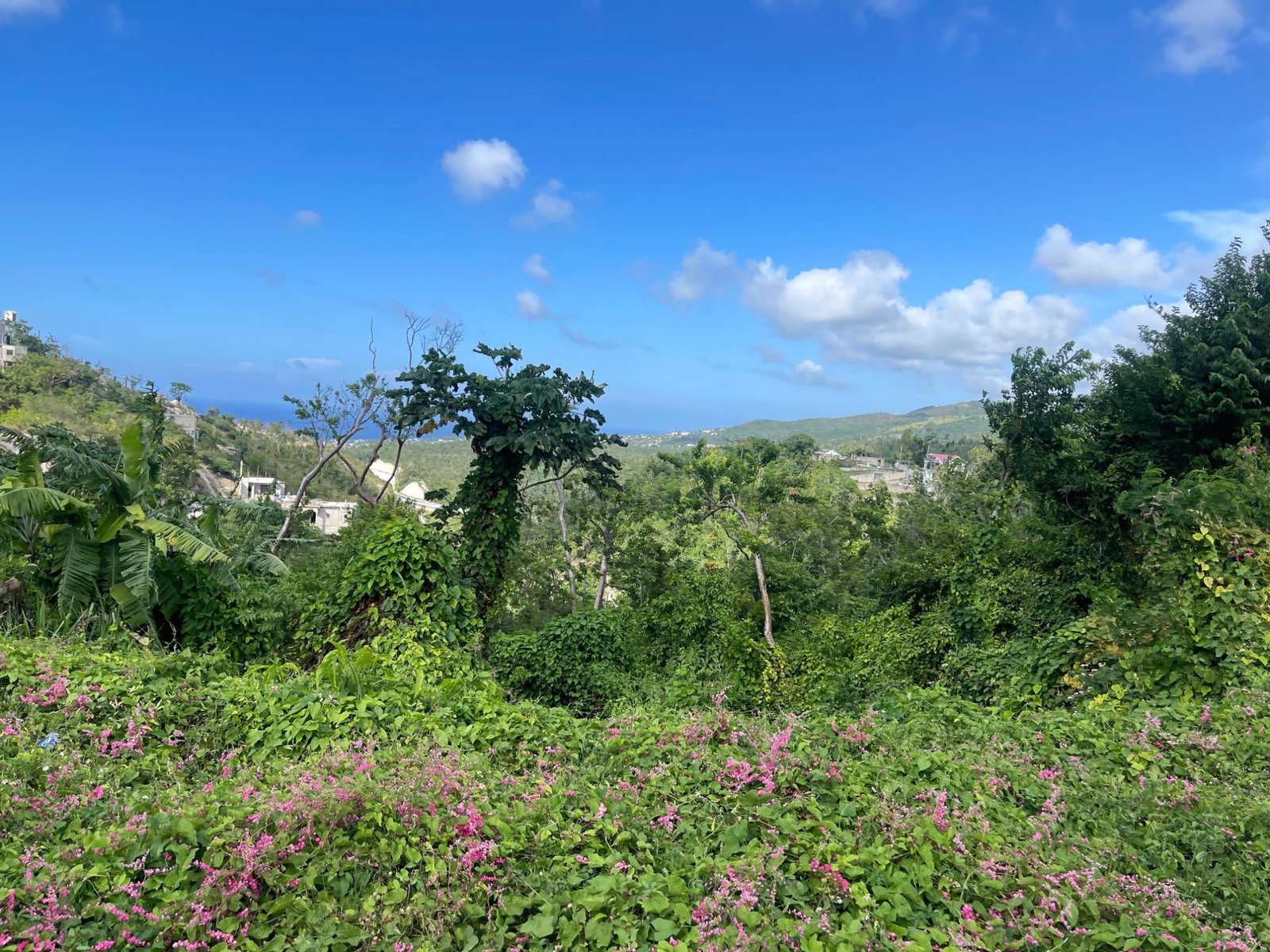 Eighth image of Lot 8 Moss Close, Montego Hills in Montego Hills, St. James, Jamaica - property is For Sale