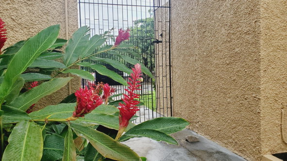 Twenty-Fifth image of A1-74 Hope Road in Kingston 6, St. Andrew, Jamaica - property is For Rent