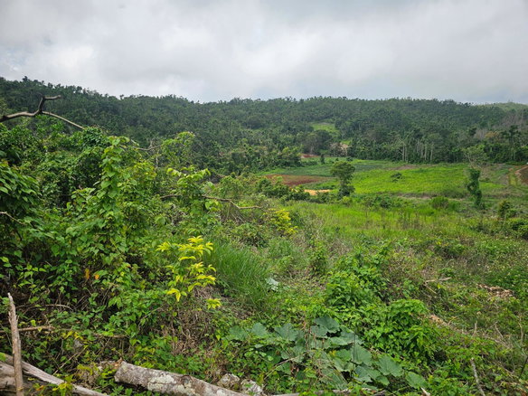 First image of Knapdale in Knapdale, St. Ann, Jamaica - property is For Sale