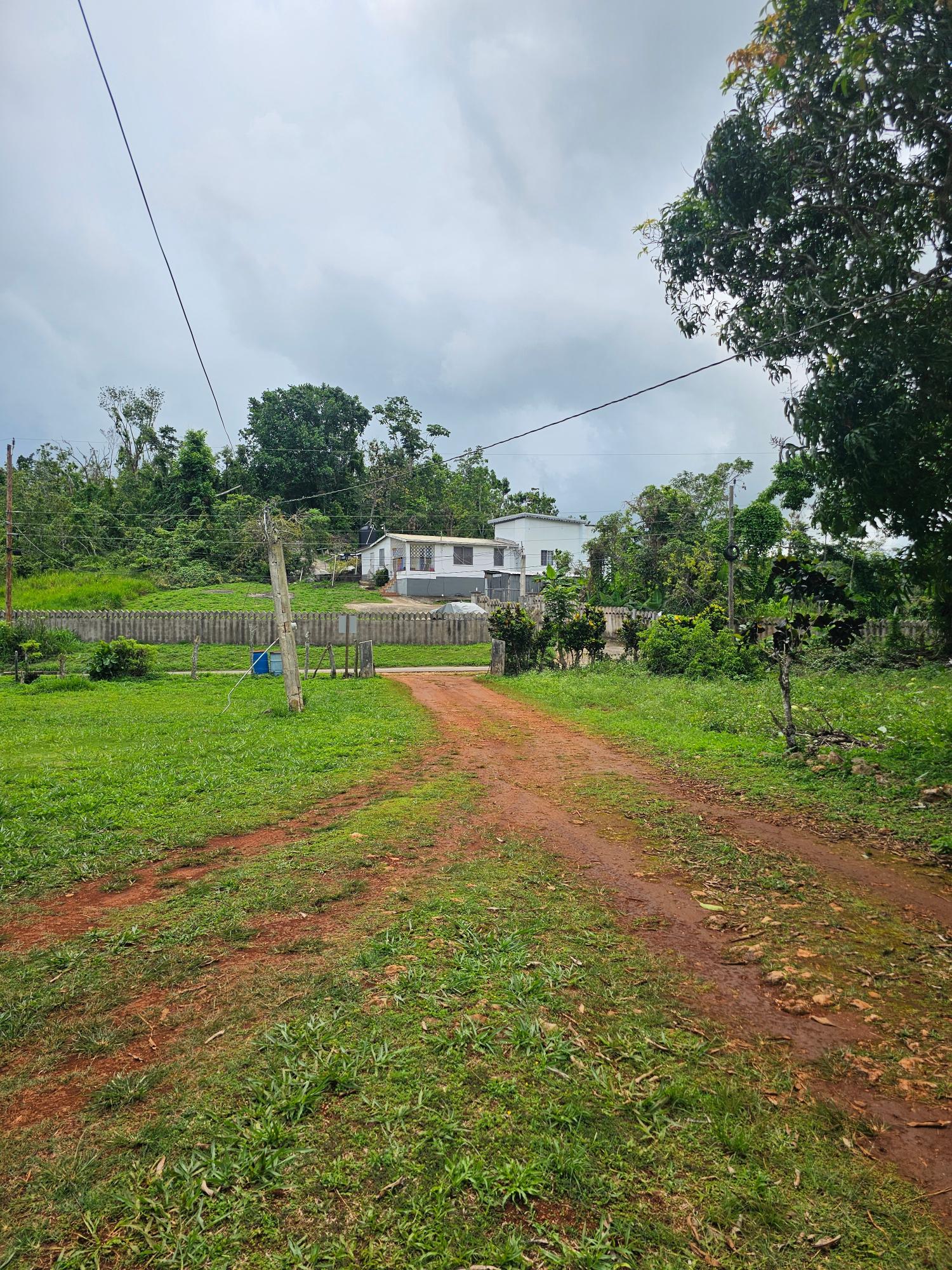 Eleventh image of Knapdale in Knapdale, St. Ann, Jamaica - property is For Sale