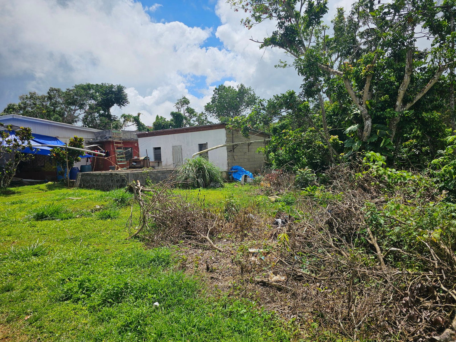Fourth image of Knapdale in Knapdale, St. Ann, Jamaica - property is For Sale