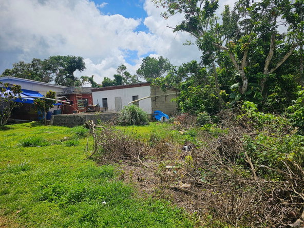 Fourth image of Knapdale in Knapdale, St. Ann, Jamaica - property is For Sale