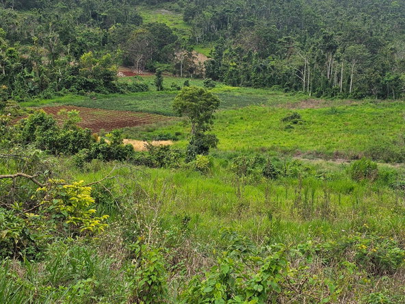 Sixth image of Knapdale in Knapdale, St. Ann, Jamaica - property is For Sale