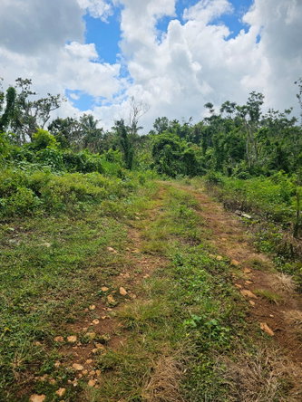 Ninth image of Knapdale in Knapdale, St. Ann, Jamaica - property is For Sale