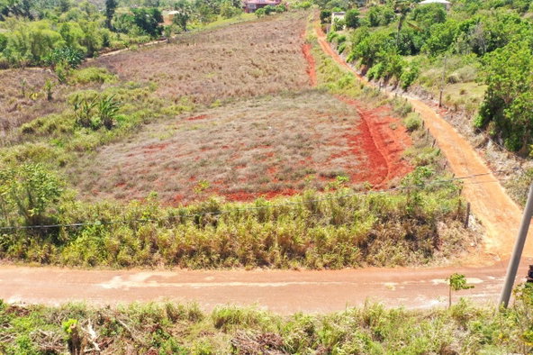 First image of Potsdam, Munroe, st Eliza in Munroe College, St. Elizabeth, Jamaica - property is For Sale
