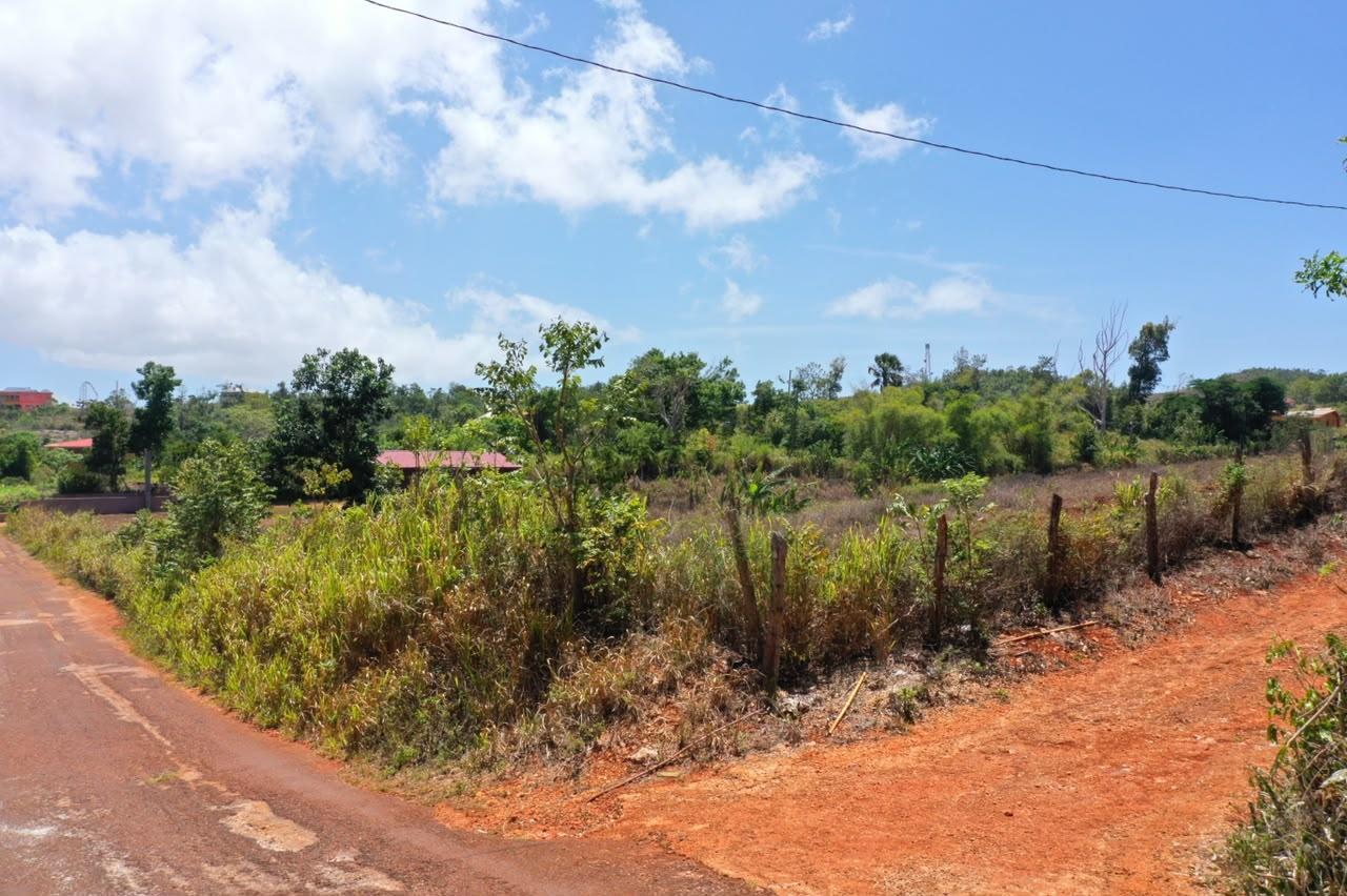Seventh image of Potsdam, Munroe, st Eliza in Munroe College, St. Elizabeth, Jamaica - property is For Sale