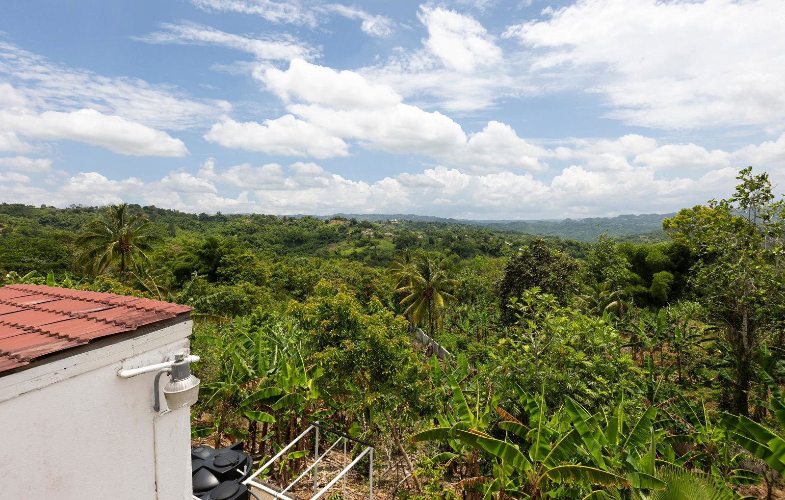 Tenth image of Sanguinetti, Clarendon in Spaldings, Clarendon, Jamaica - property is For Sale