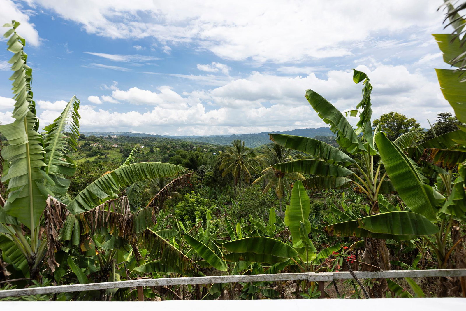 Eleventh image of Sanguinetti, Clarendon in Spaldings, Clarendon, Jamaica - property is For Sale