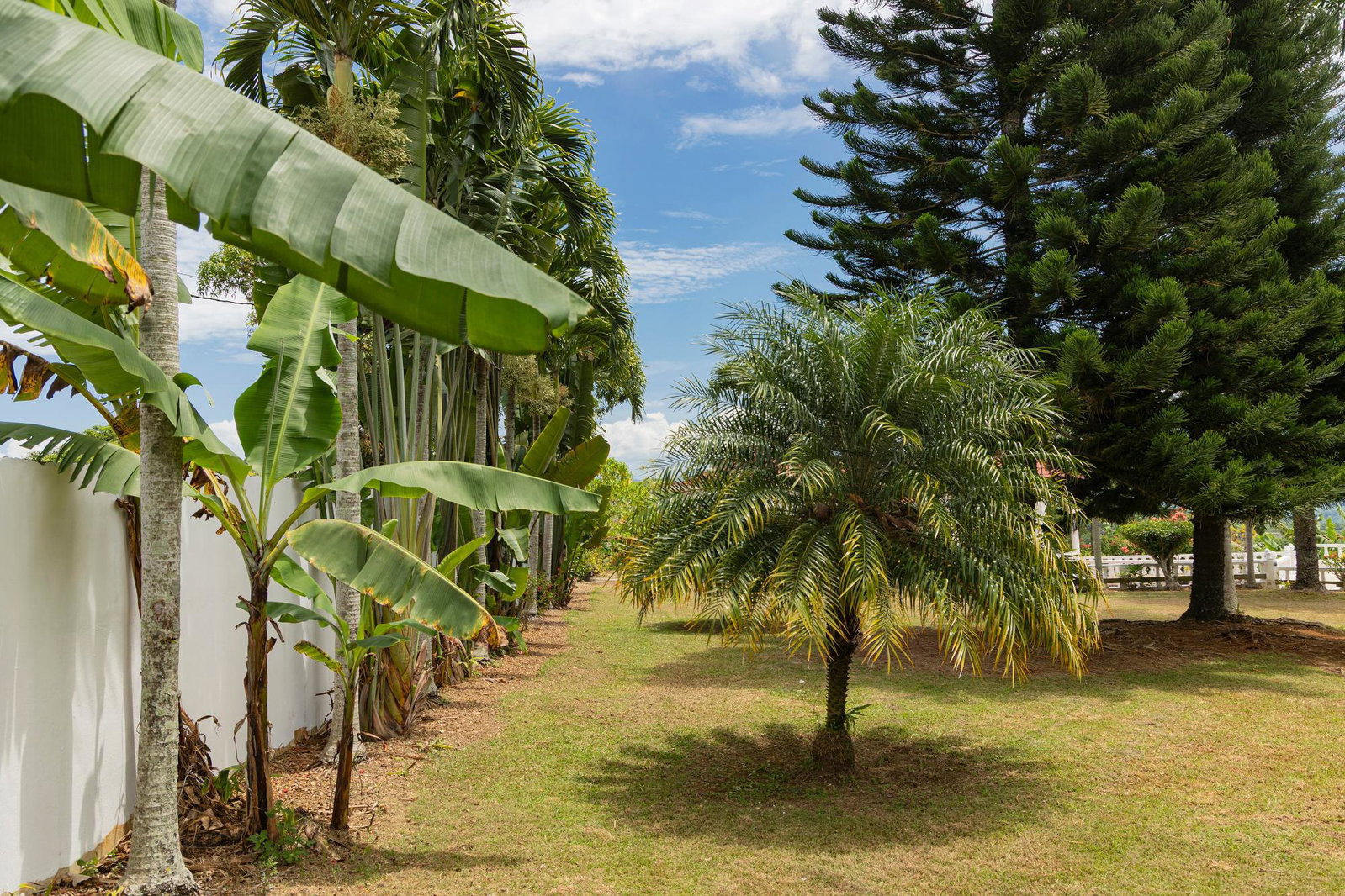 Twenty-Fifth image of Sanguinetti, Clarendon in Spaldings, Clarendon, Jamaica - property is For Sale