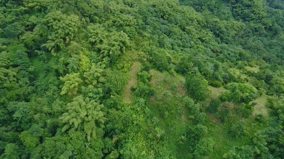 First image of 116 & 117 Windsor Rio Grande Pa, po in Port Antonio, Portland, Jamaica - property is For Sale