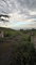 First image of Lot 4- Coopers Hill, Red Hills p in Red Hills, St. Andrew, Jamaica - property is For Sale