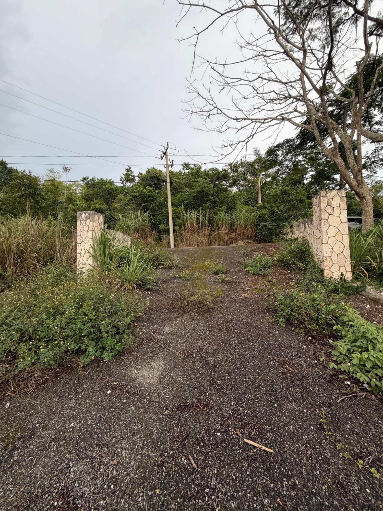 Tenth image of Lot 4- Coopers Hill, Red Hills p in Red Hills, St. Andrew, Jamaica - property is For Sale