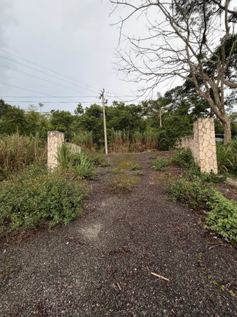 Tenth image of Lot 4- Coopers Hill, Red Hills p in Red Hills, St. Andrew, Jamaica - property is For Sale