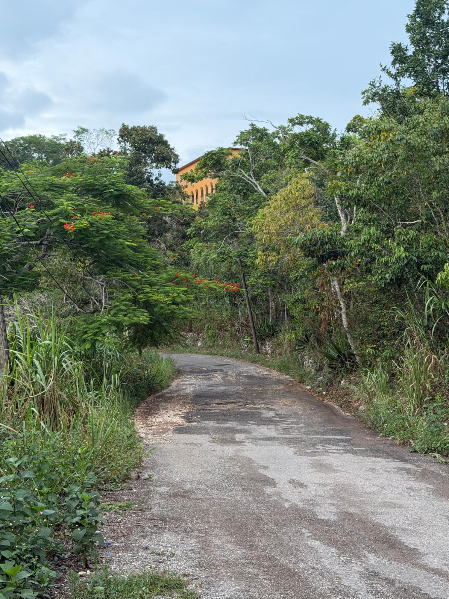 Third image of Lot 4- Coopers Hill, Red Hills p in Red Hills, St. Andrew, Jamaica - property is For Sale