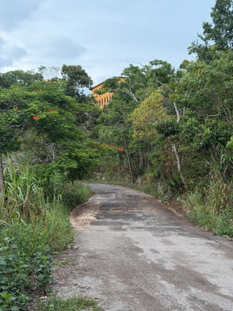Third image of Lot 4- Coopers Hill, Red Hills p in Red Hills, St. Andrew, Jamaica - property is For Sale