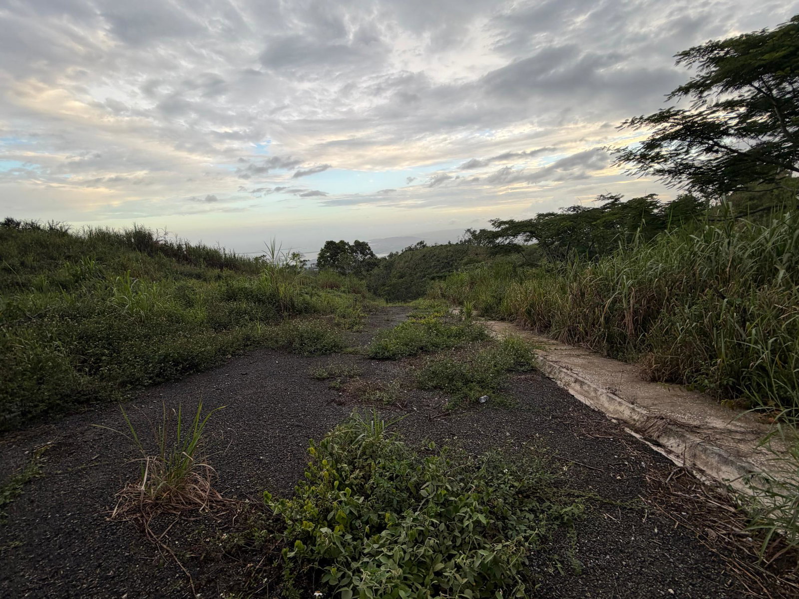 Fourth image of Lot 4- Coopers Hill, Red Hills p in Red Hills, St. Andrew, Jamaica - property is For Sale