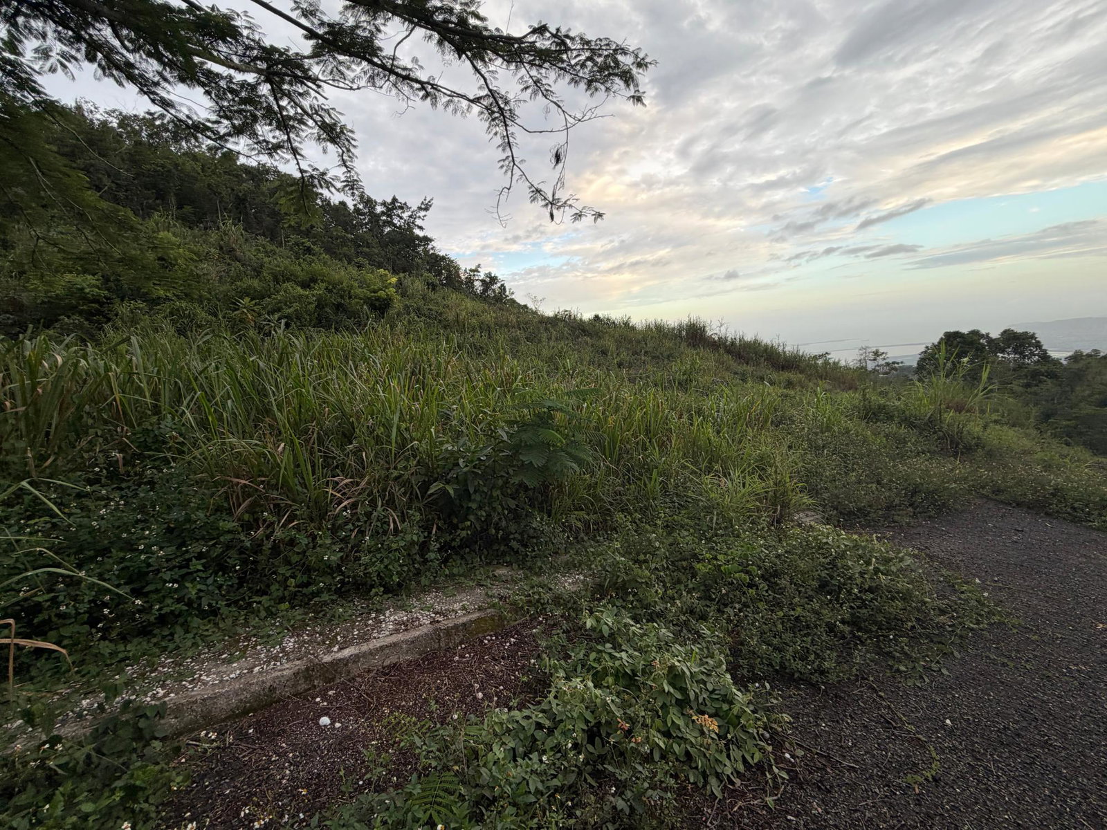 Fifth image of Lot 4- Coopers Hill, Red Hills p in Red Hills, St. Andrew, Jamaica - property is For Sale