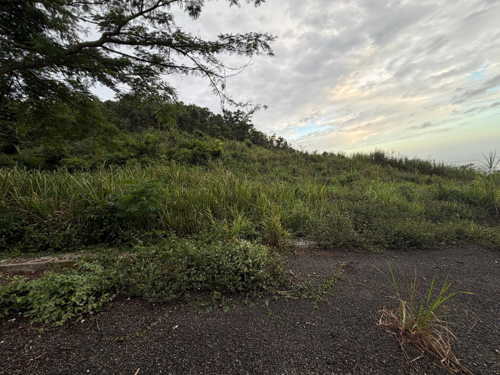 Sixth image of Lot 4- Coopers Hill, Red Hills p in Red Hills, St. Andrew, Jamaica - property is For Sale