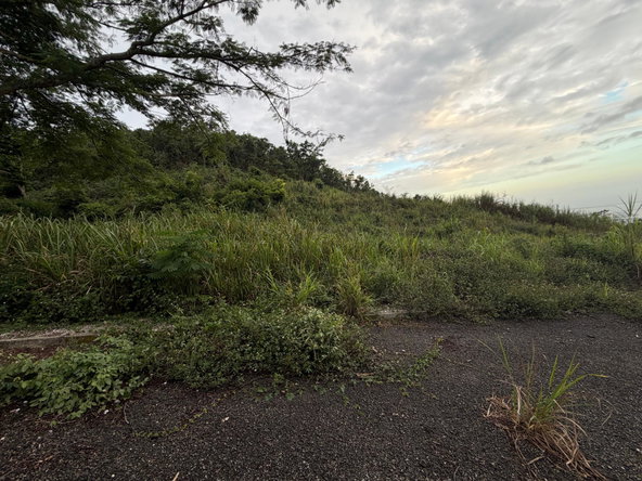 Sixth image of Lot 4- Coopers Hill, Red Hills p in Red Hills, St. Andrew, Jamaica - property is For Sale
