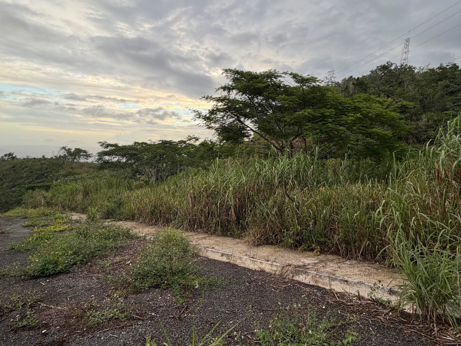 Seventh image of Lot 4- Coopers Hill, Red Hills p in Red Hills, St. Andrew, Jamaica - property is For Sale
