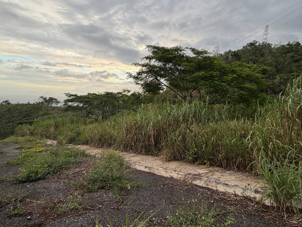 Seventh image of Lot 4- Coopers Hill, Red Hills p in Red Hills, St. Andrew, Jamaica - property is For Sale
