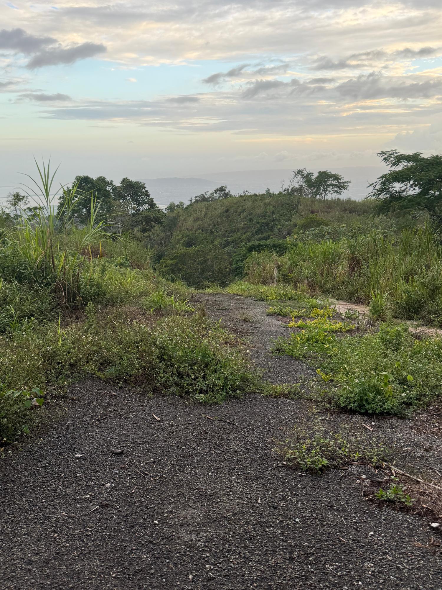 Eighth image of Lot 4- Coopers Hill, Red Hills p in Red Hills, St. Andrew, Jamaica - property is For Sale