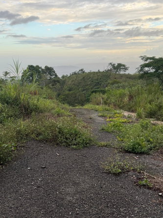 Eighth image of Lot 4- Coopers Hill, Red Hills p in Red Hills, St. Andrew, Jamaica - property is For Sale