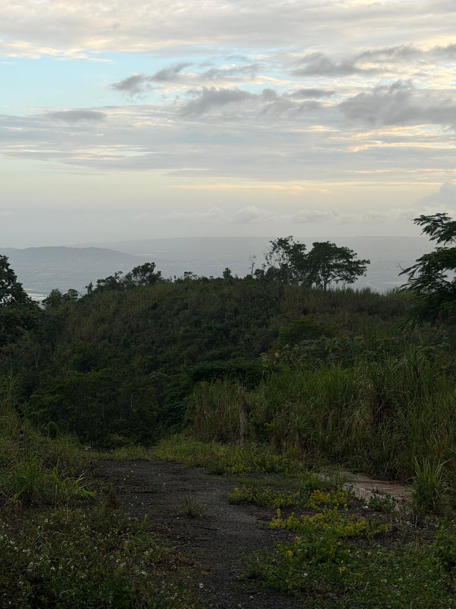 Ninth image of Lot 4- Coopers Hill, Red Hills p in Red Hills, St. Andrew, Jamaica - property is For Sale