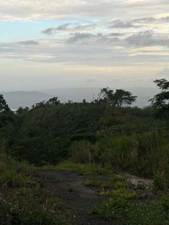 Ninth image of Lot 4- Coopers Hill, Red Hills p in Red Hills, St. Andrew, Jamaica - property is For Sale
