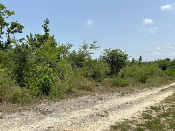 First image of 78 Font Hill in Font Hill, St. Elizabeth, Jamaica - property is For Sale
