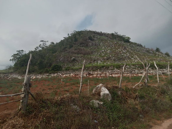 First image of Huntley Manchester in Mandeville, Manchester, Jamaica - property is For Sale