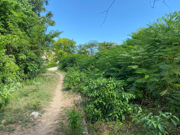 First image of Lot No. 8 Stewarton in May Pen, Clarendon, Jamaica - property is For Sale