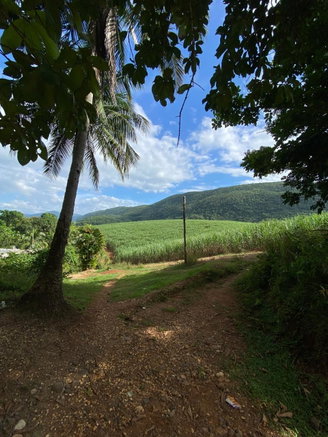 First image of Wakefield in Wakefield, St. Catherine, Jamaica - property is For Sale