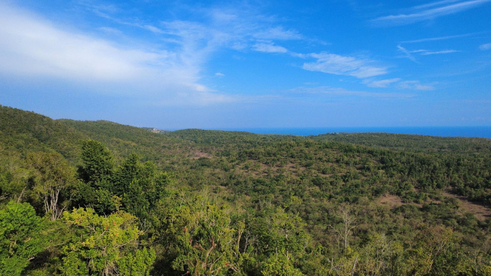 First image of Wiltshire in Duncans, Trelawny, Jamaica - property is For Sale