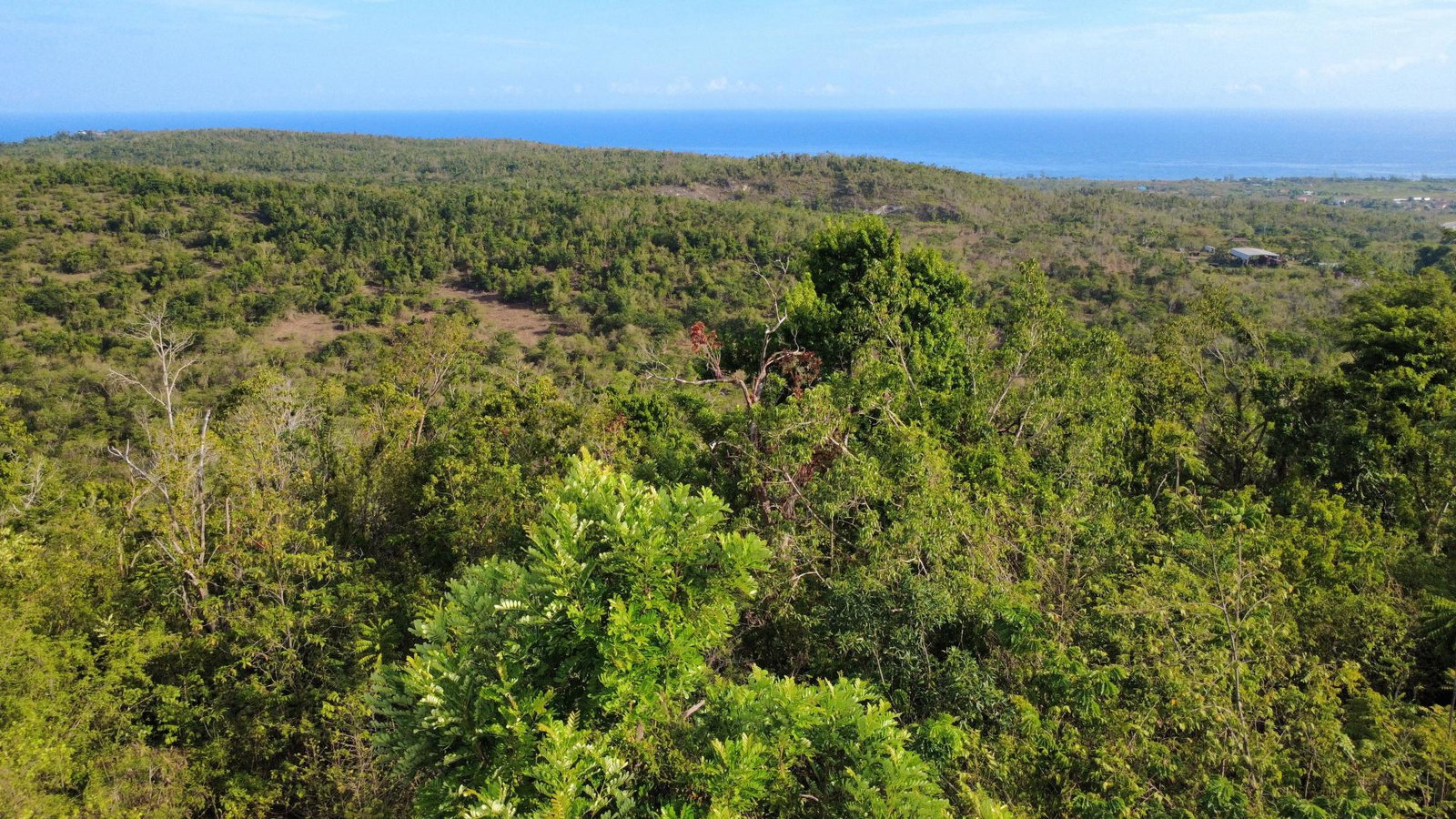 Second image of Wiltshire in Duncans, Trelawny, Jamaica - property is For Sale