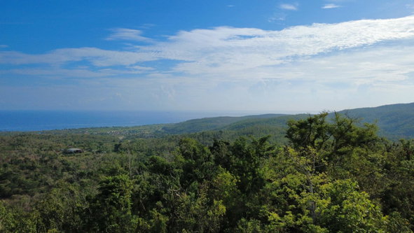 Third image of Wiltshire in Duncans, Trelawny, Jamaica - property is For Sale