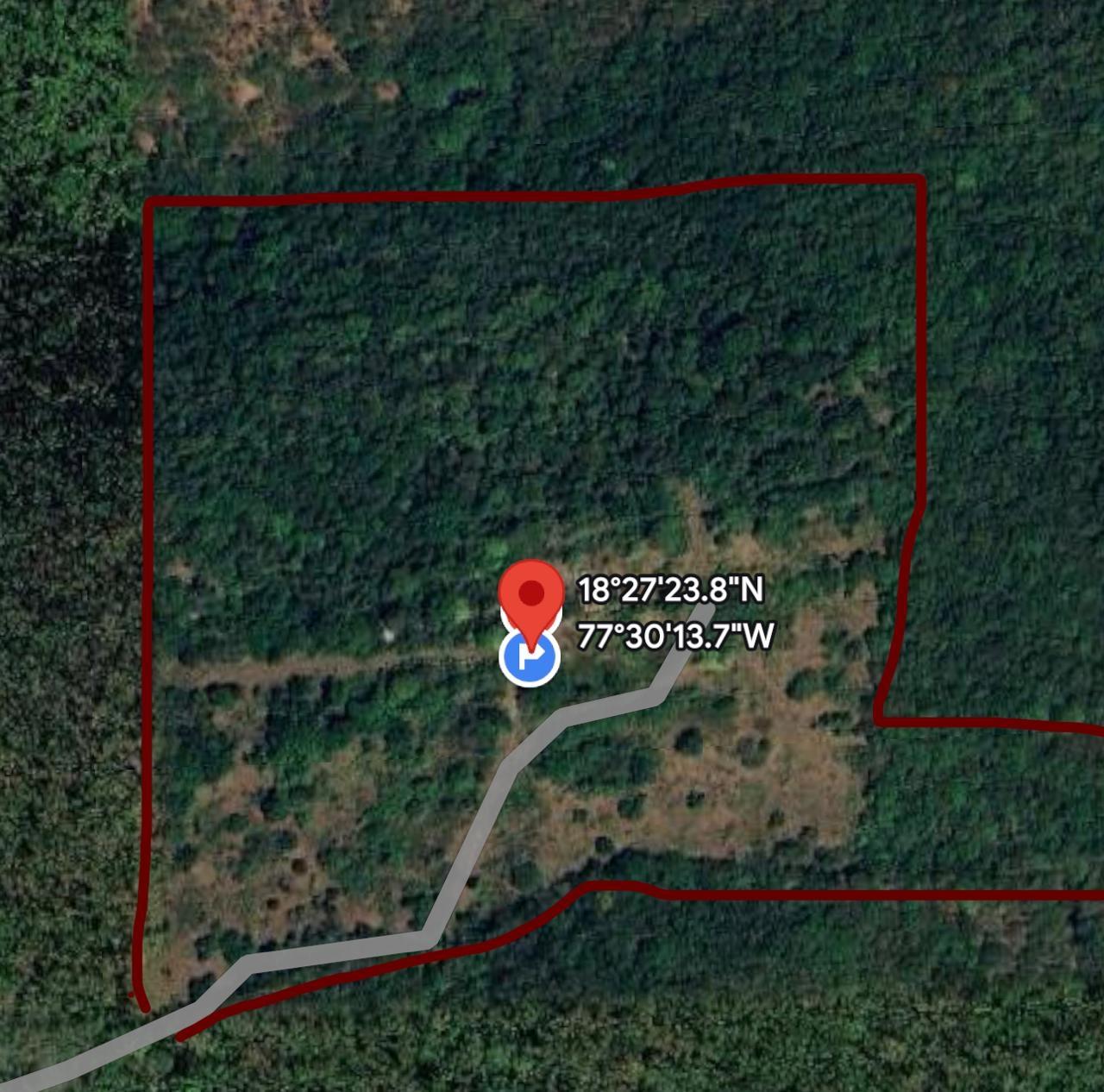 Fifth image of Wiltshire in Duncans, Trelawny, Jamaica - property is For Sale