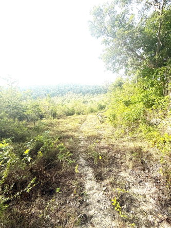 Seventh image of Wiltshire in Duncans, Trelawny, Jamaica - property is For Sale