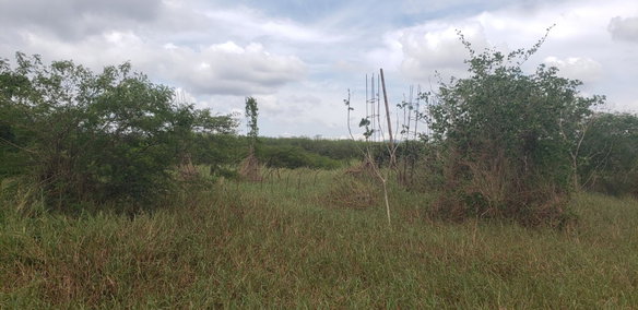 First image of Lot 6 Colbeck, Bannister, in Old Harbour, St. Catherine, Jamaica - property is For Sale