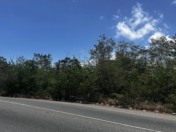 Second image of 7b Palmetto Pen in Palmers Cross, Clarendon, Jamaica - property is For Sale