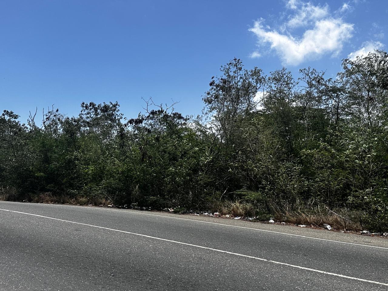 Fourth image of 7b Palmetto Pen in Palmers Cross, Clarendon, Jamaica - property is For Sale