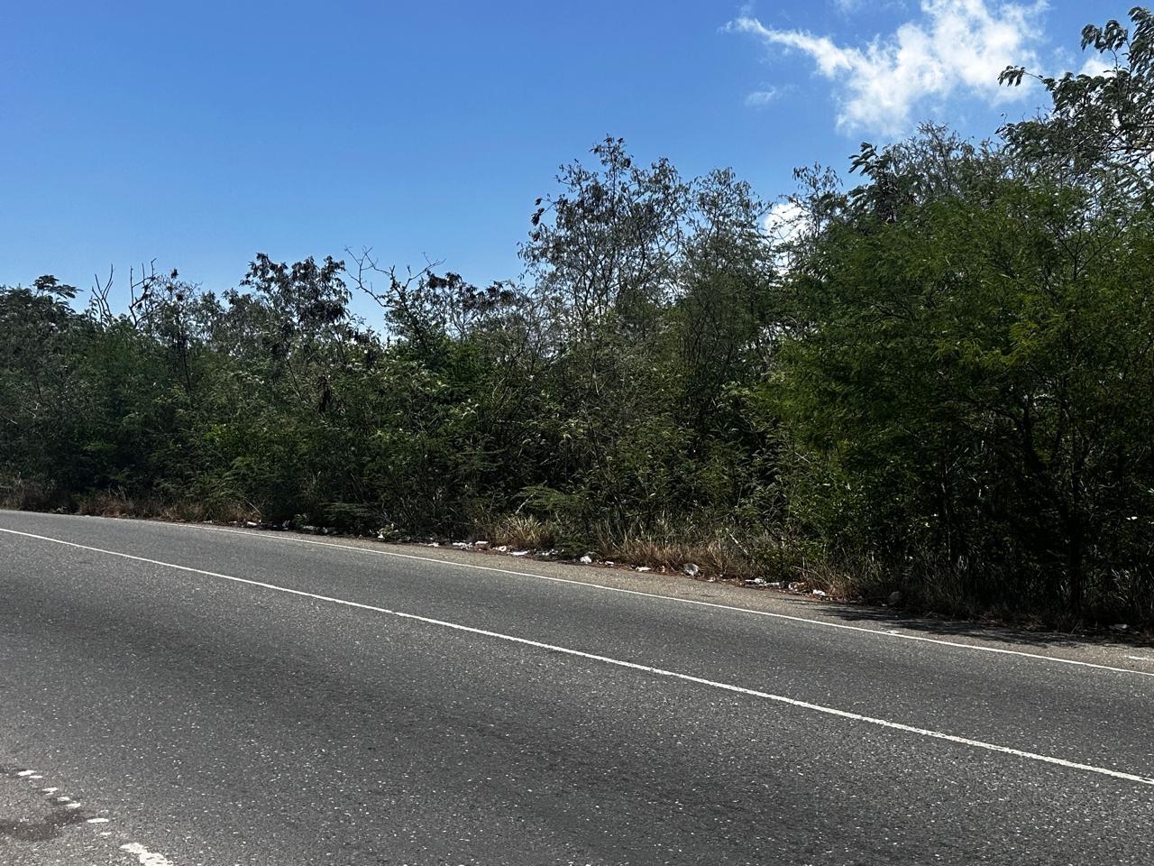 Fifth image of 7b Palmetto Pen in Palmers Cross, Clarendon, Jamaica - property is For Sale