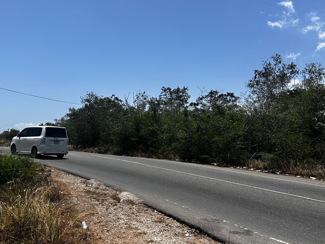 Sixth image of 7b Palmetto Pen in Palmers Cross, Clarendon, Jamaica - property is For Sale