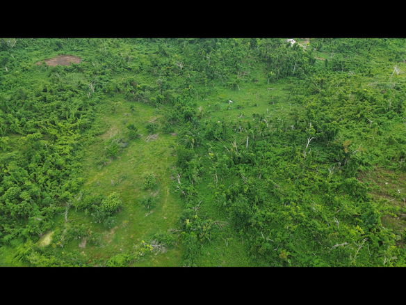 First image of Petersville in WHITEHOUSE, Westmoreland, Jamaica - property is For Sale