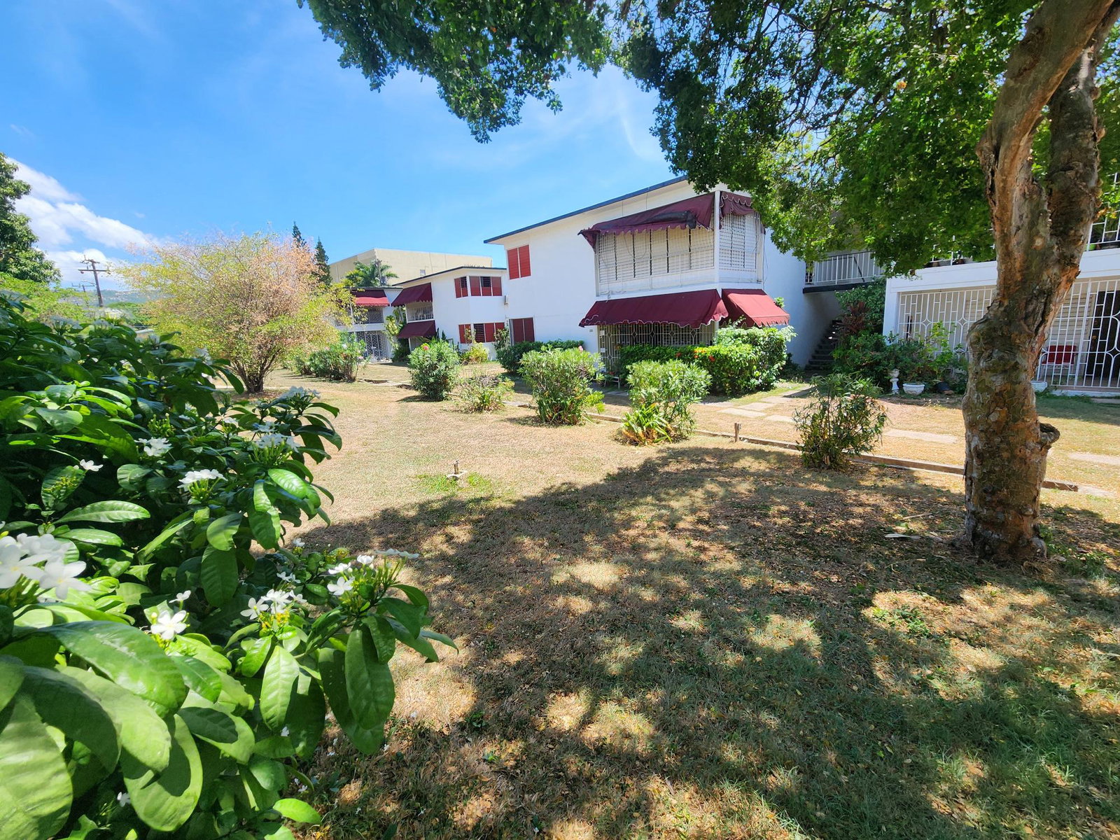 Fifteenth image of Lords Road in Kingston 6, St. Andrew, Jamaica - property is For Rent