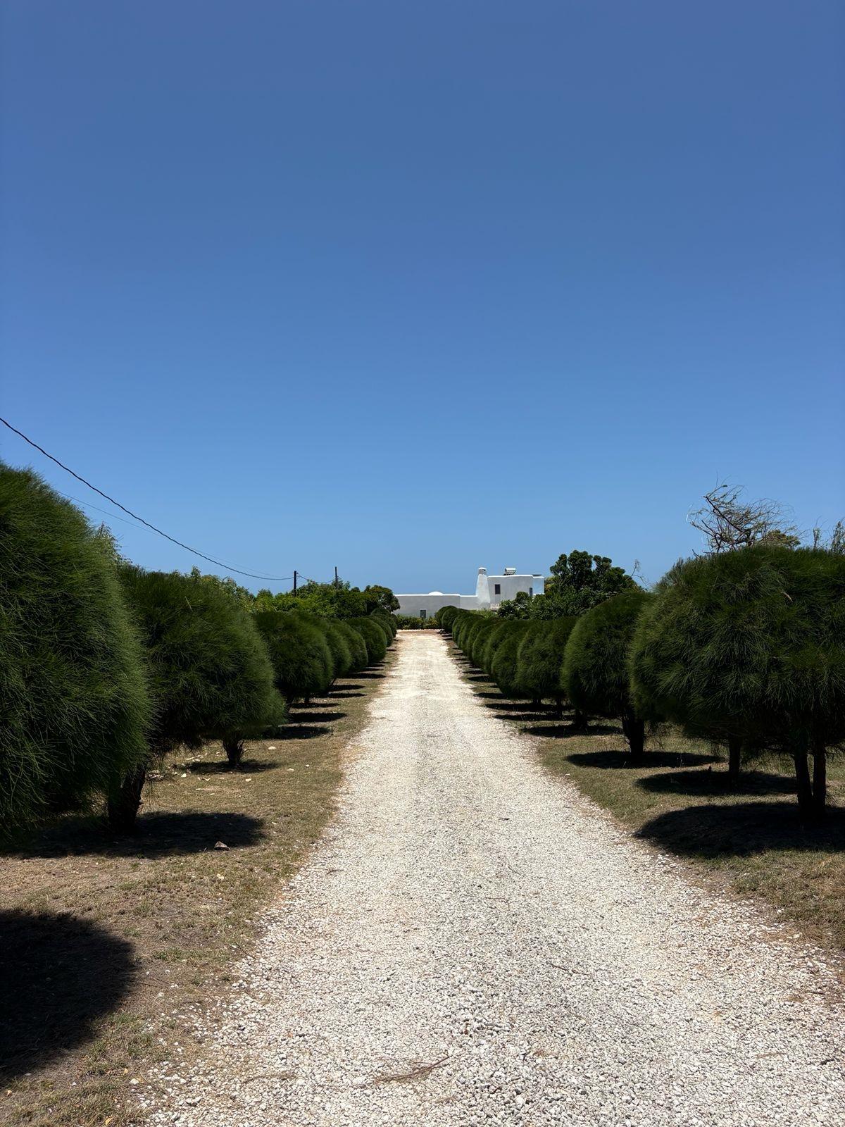 First image of Part of Billy Bay Kouros in Treasure Beach, St. Elizabeth, Jamaica - property is For Sale