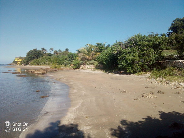 Twenty-Second image of Part of Billy Bay Kouros in Treasure Beach, St. Elizabeth, Jamaica - property is For Sale