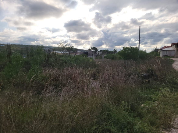 First image of 166- East Nation, Greenwood in Little River, St. James, Jamaica - property is For Sale